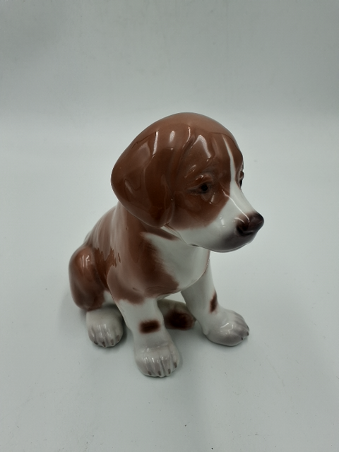 RC Hund 1926