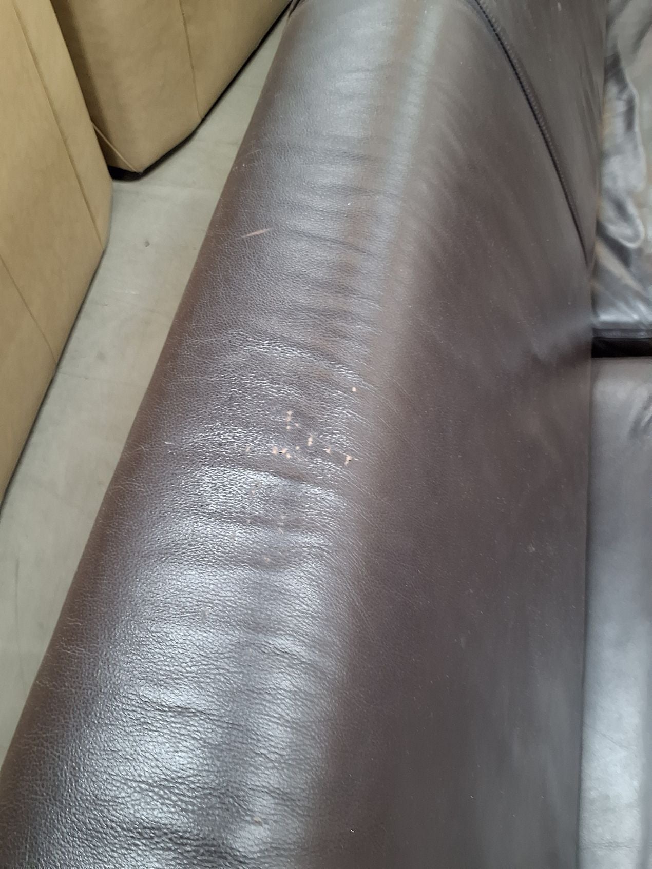 Eksklusiv italiensk Giorgetti lædersofa