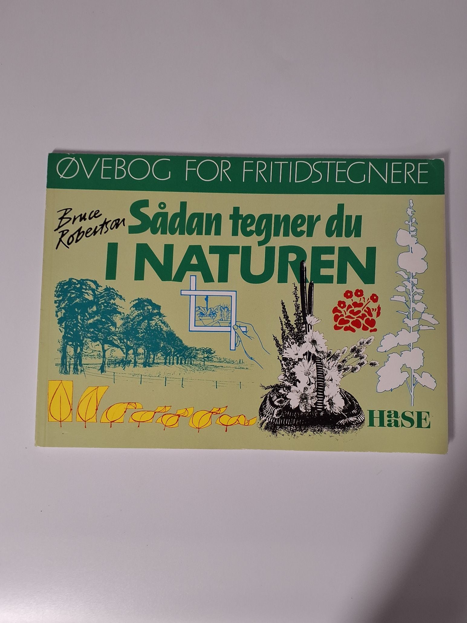 4+2 Lær at tegne