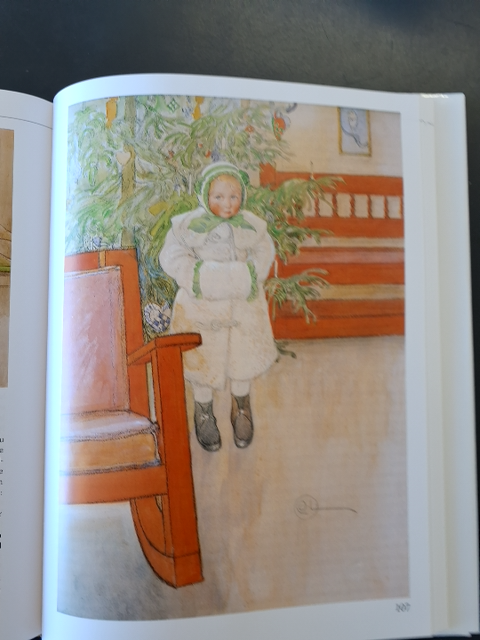 Jeg Carl Larsson En bog om det gode og det onde