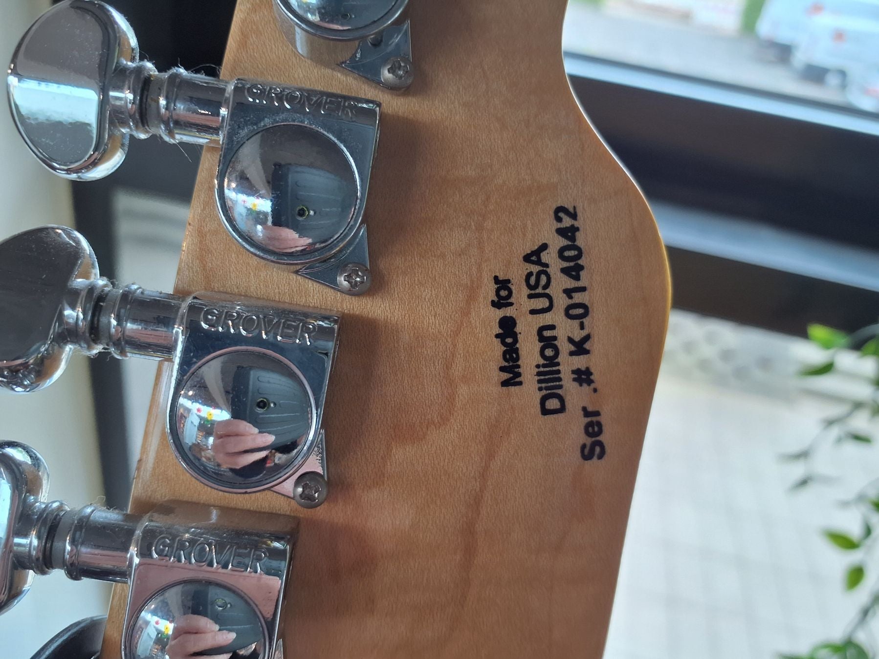 Dillion Guitar