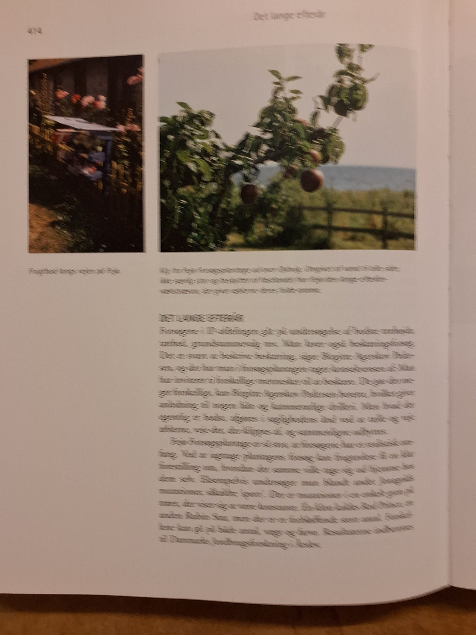 Karen Syberg, Æblets fortælling