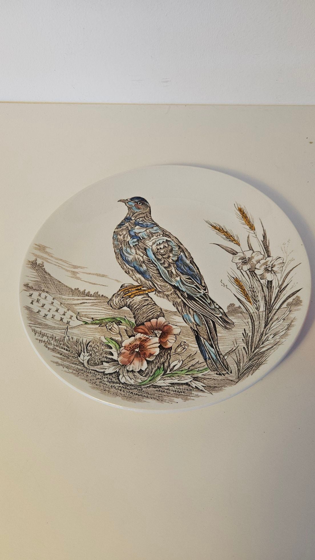 Pigeon - Fugleplatte