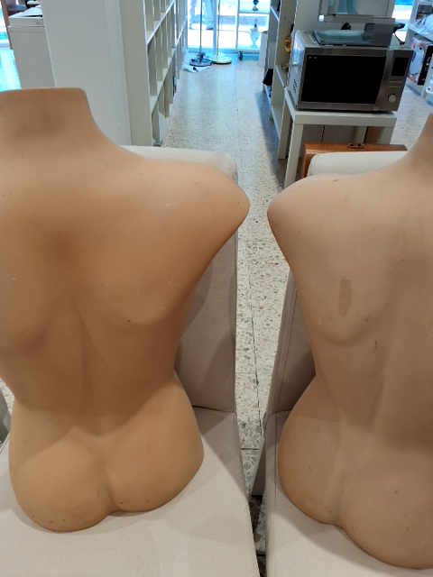 Torso mannequin