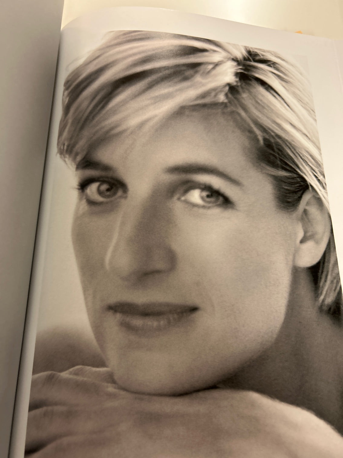 Diana The Portrait