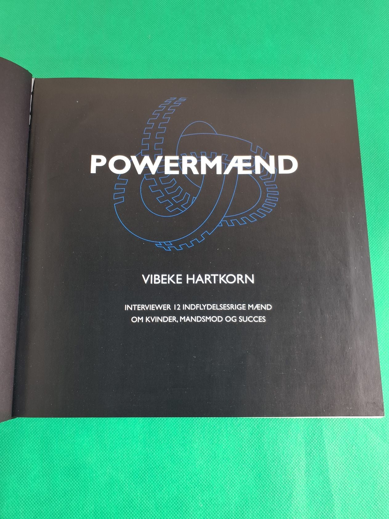 Powermænd af Vibeke Hartkorn