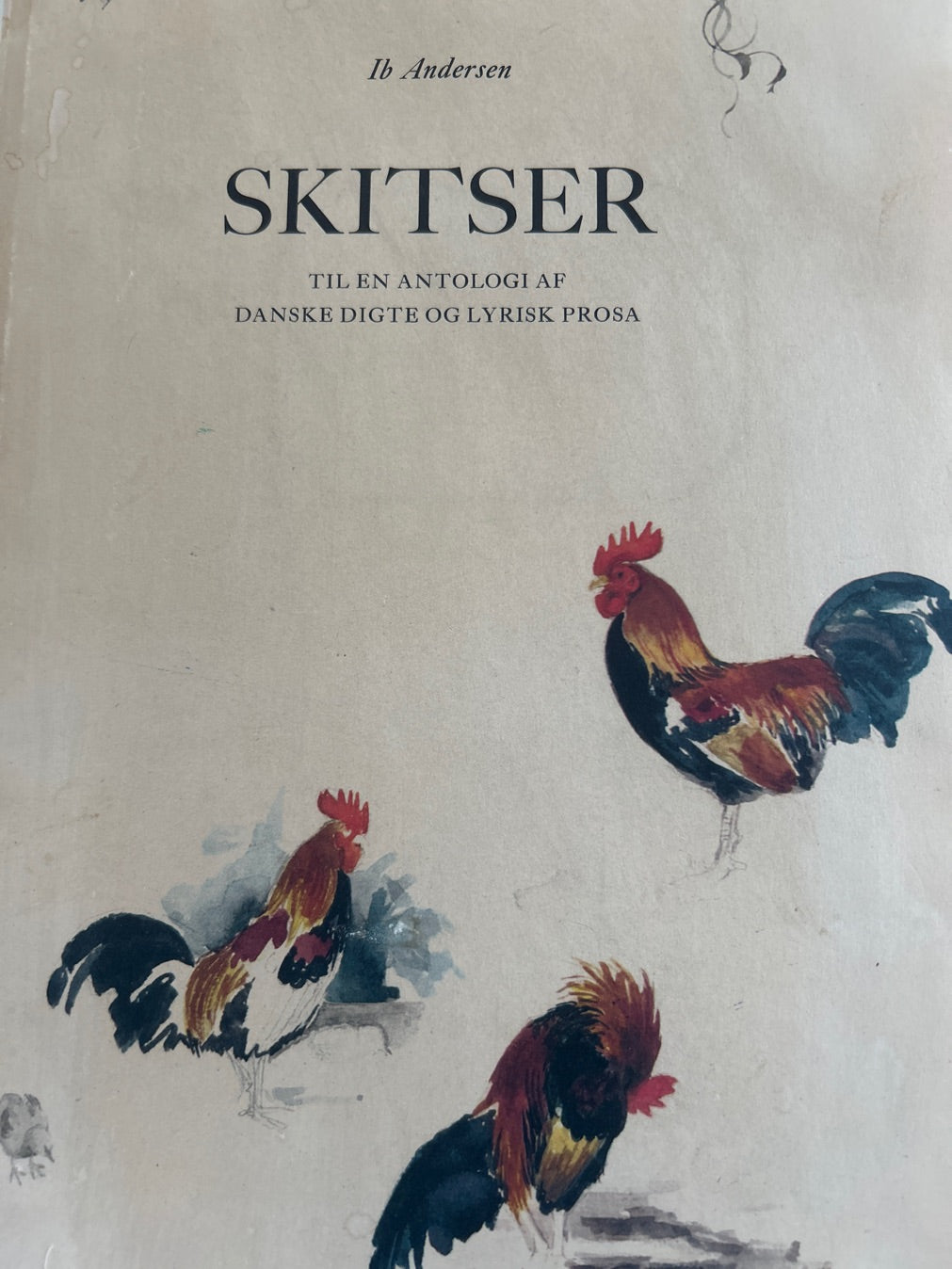 Skitser af Ib Andersen