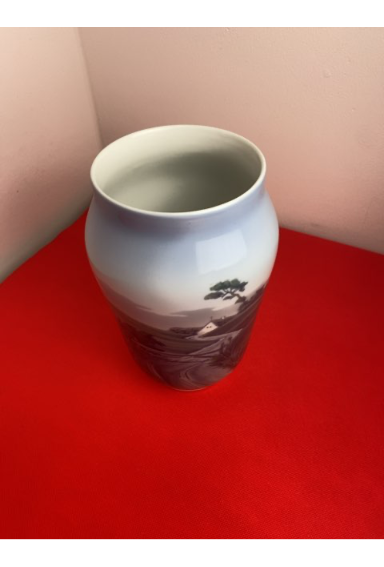 RC Vase Landskab