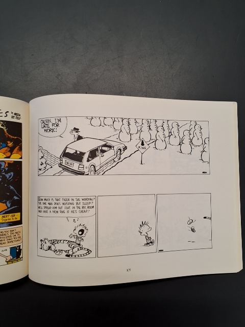 There's Treasure Everywhere A Calvin and Hobbes collection