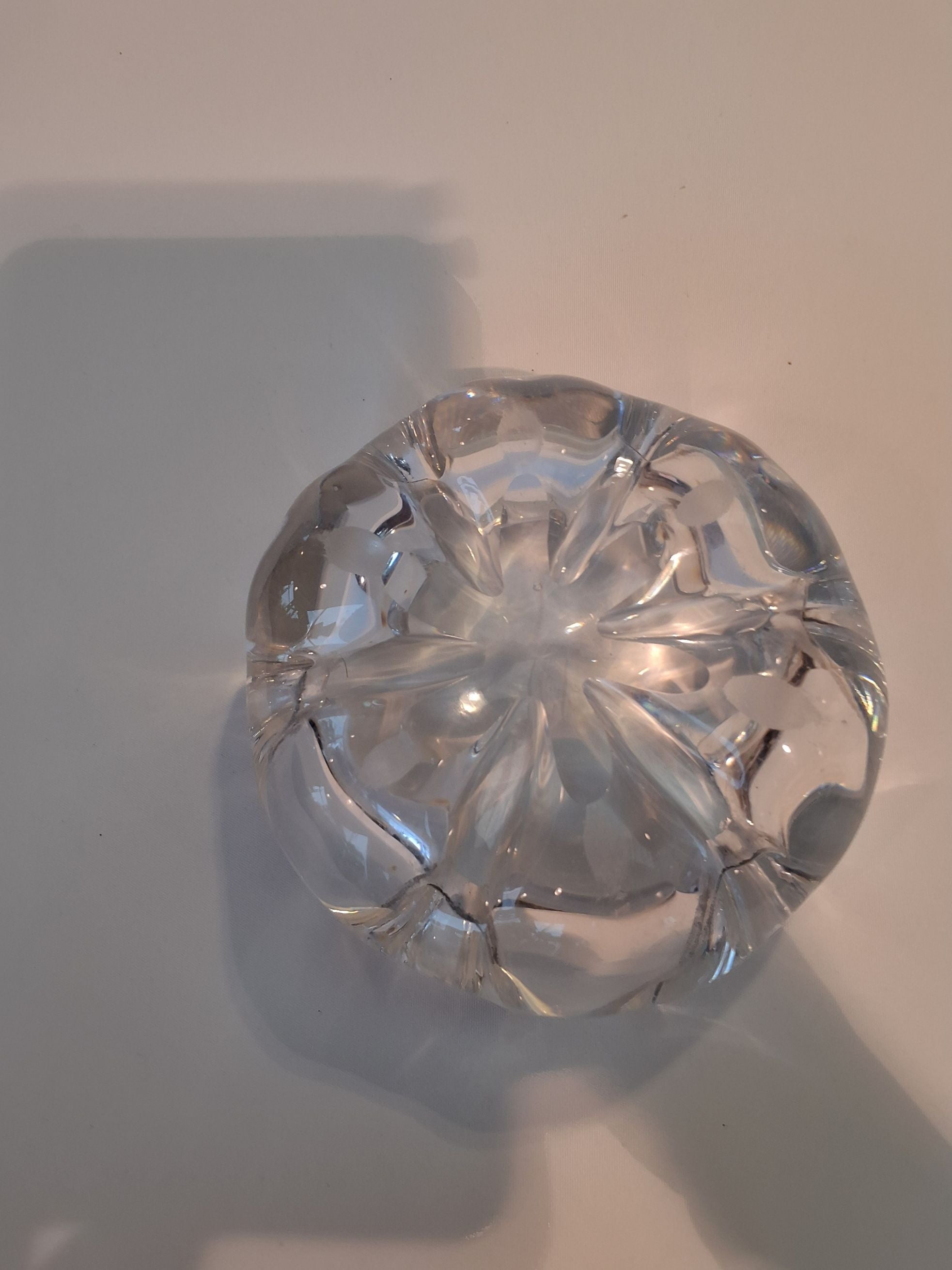 Stella Polaris skål