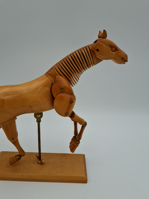Model hest