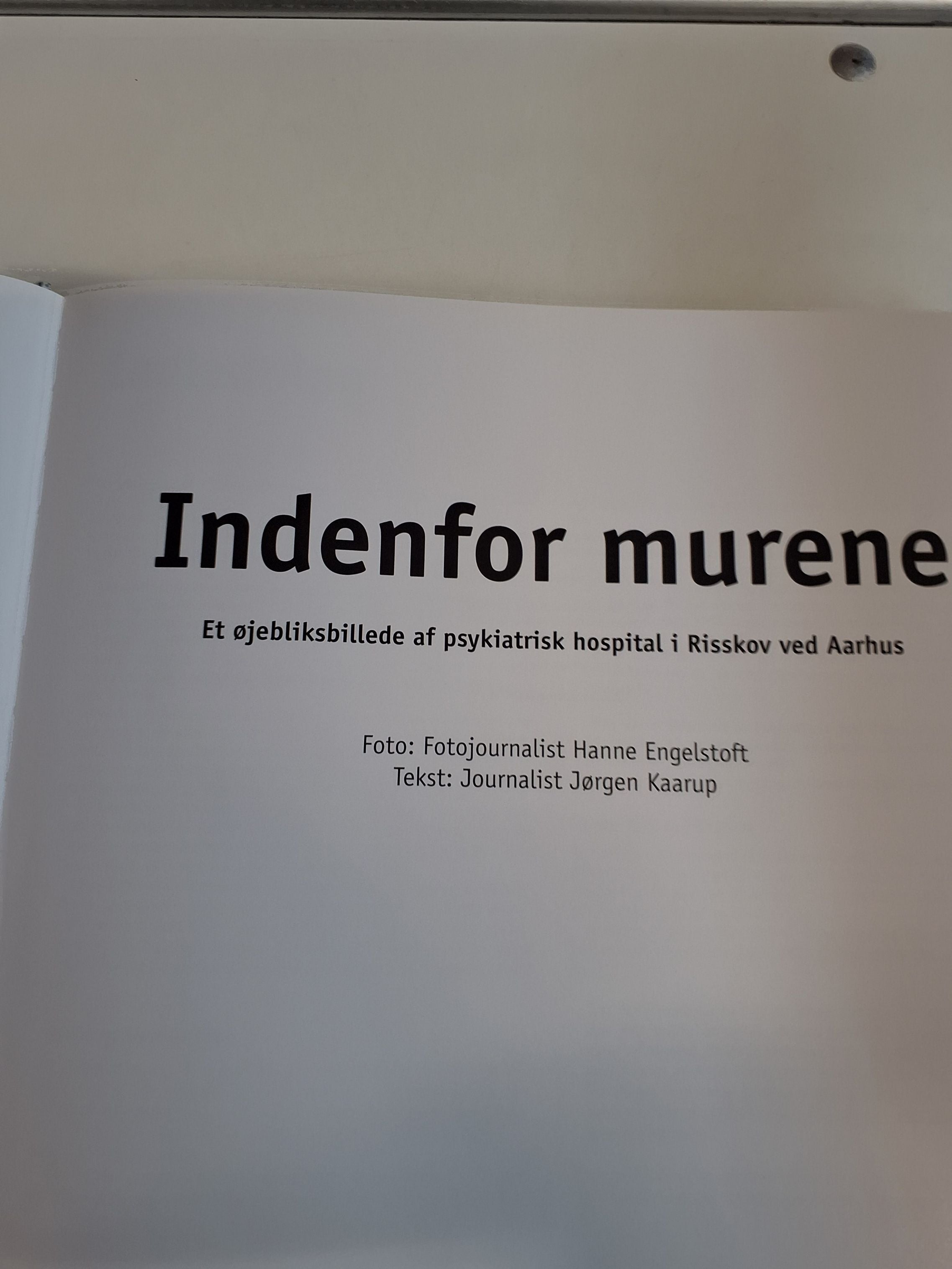 Indenfor murene