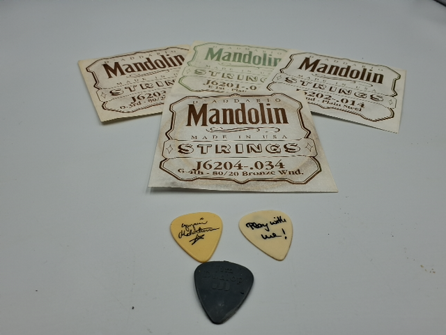 Vintage Mandolin Levin