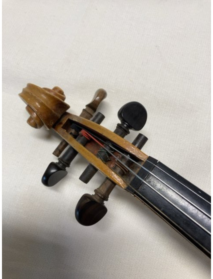Violin