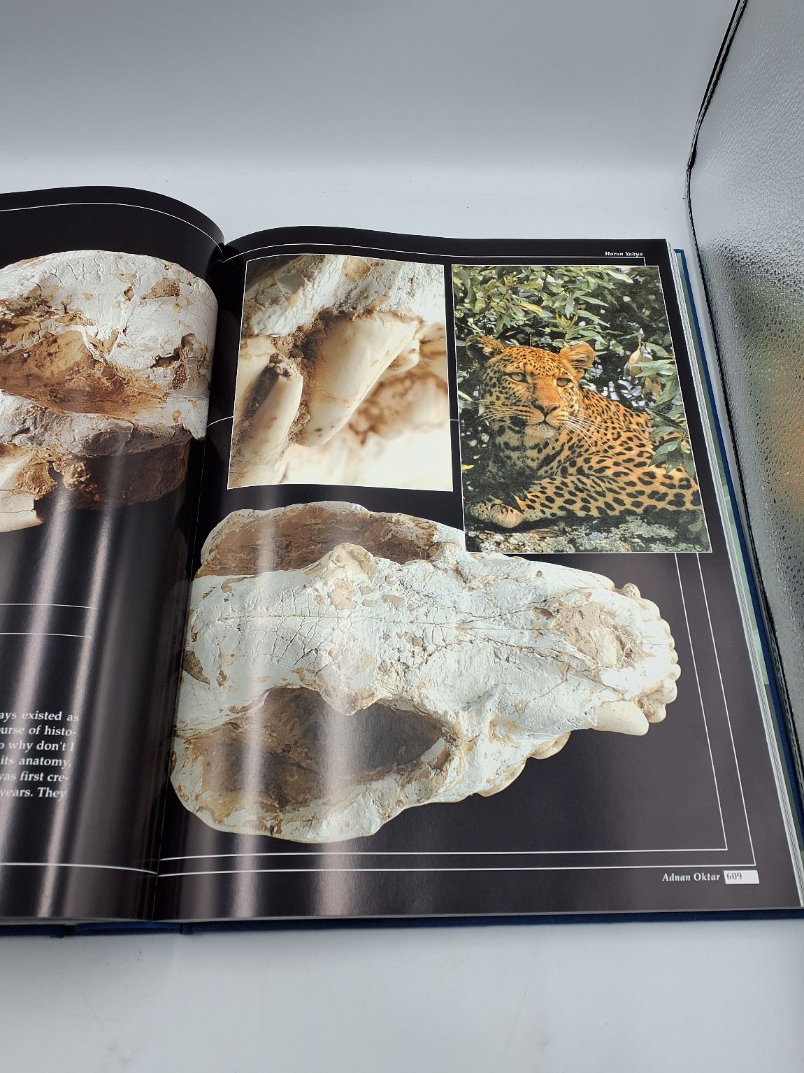 Atlas of Creation 4 edition