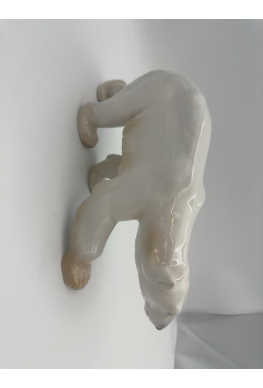 Isbjørn, B&G, 1785