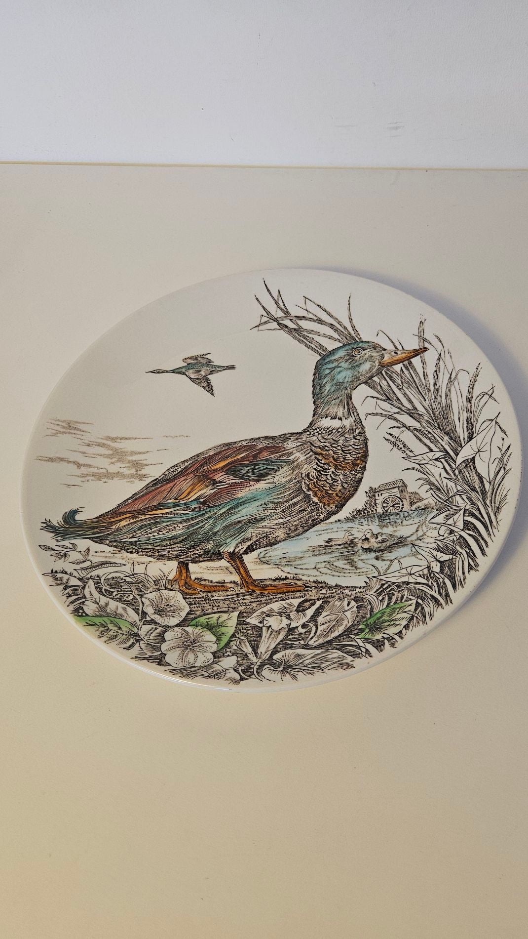 The Mallard - Fugleplatte