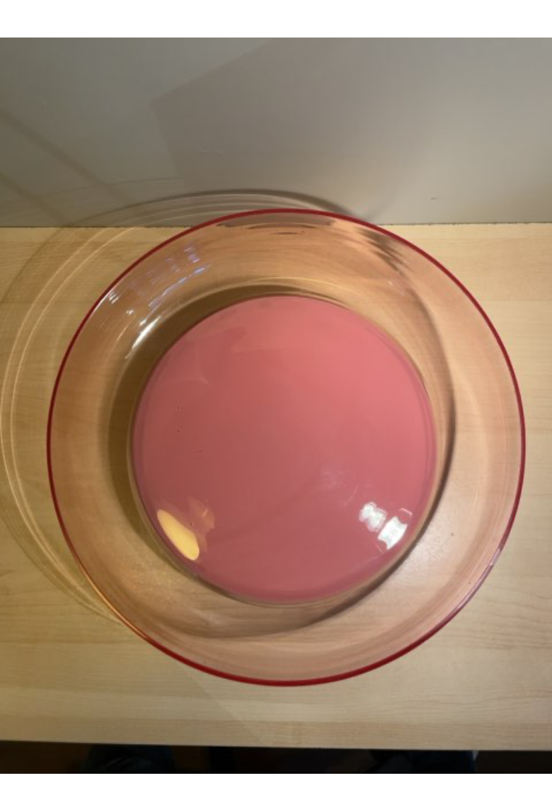 Tivoli Skål