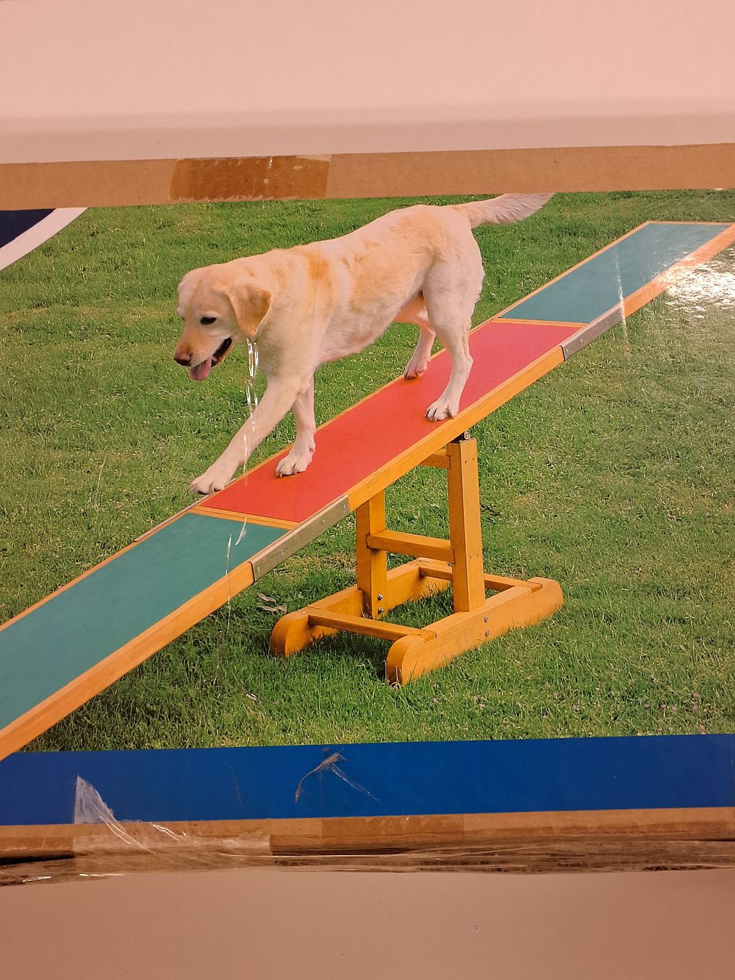 Agility Wippe mrk Trixie