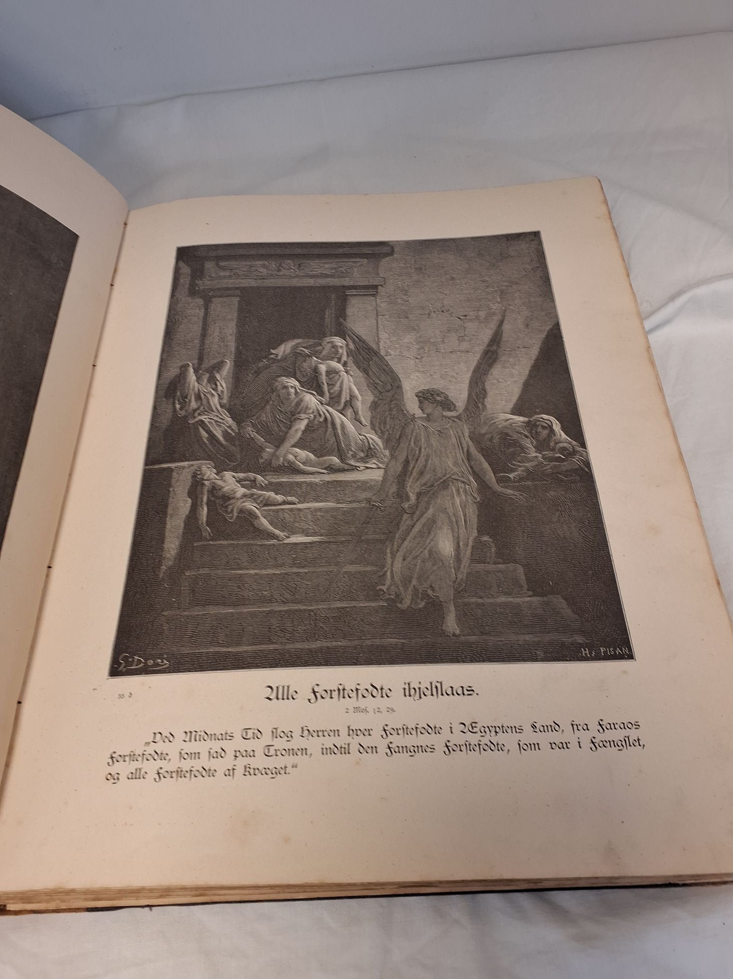Bibelen i billeder