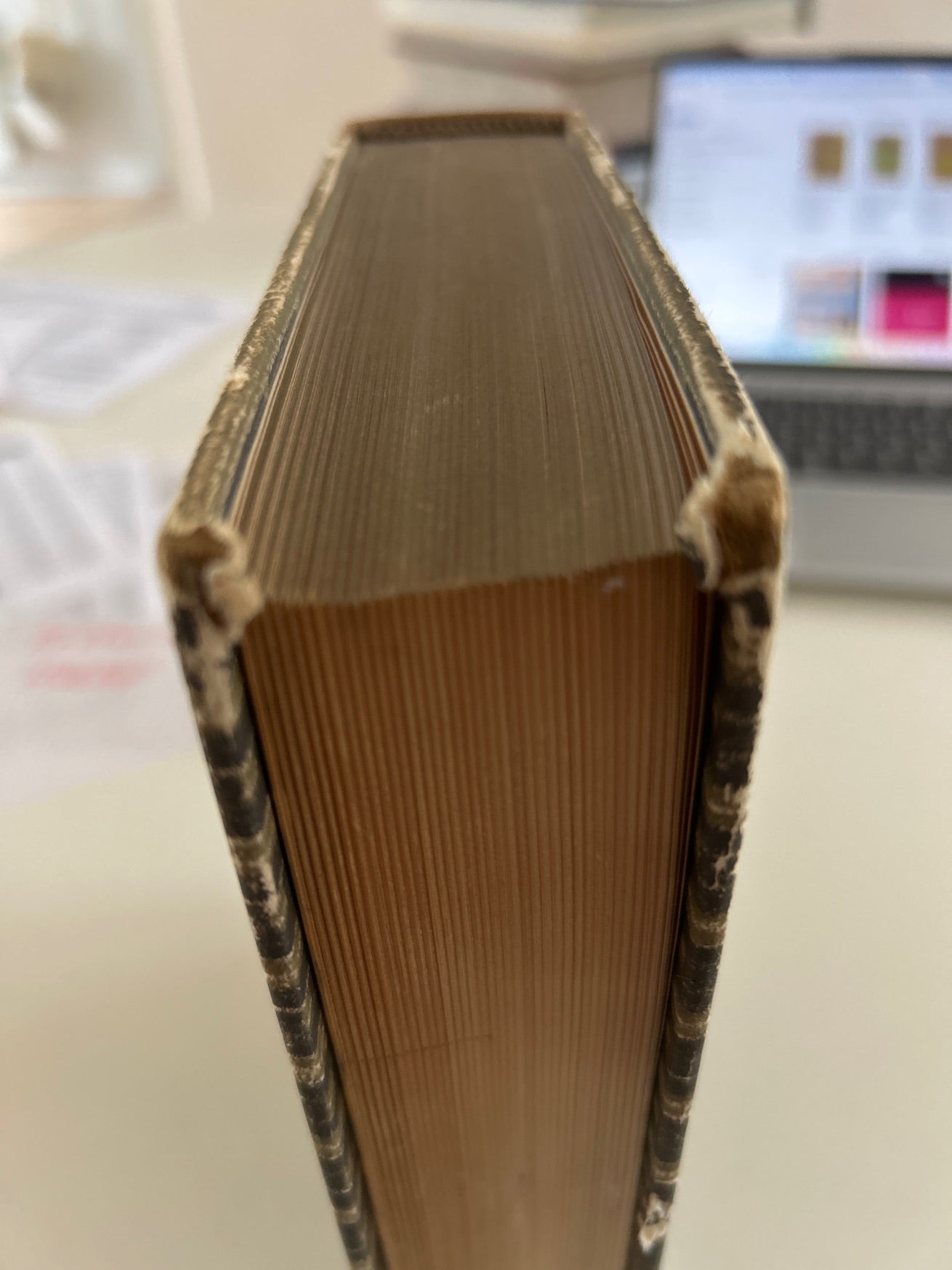 Apostlen Paulus's brev til romerne