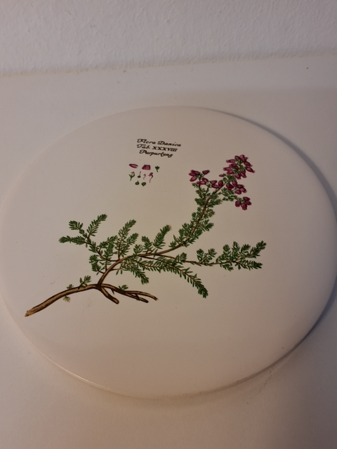 3 Flora Danica platter + Bog