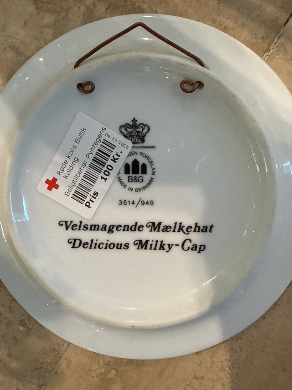 Platte med svampe