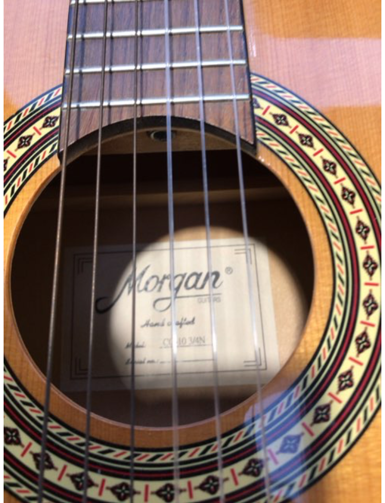 Guitar med holder