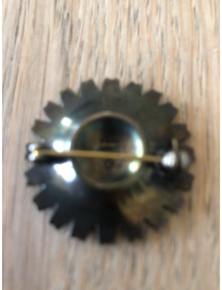 Georg Jensen broshe