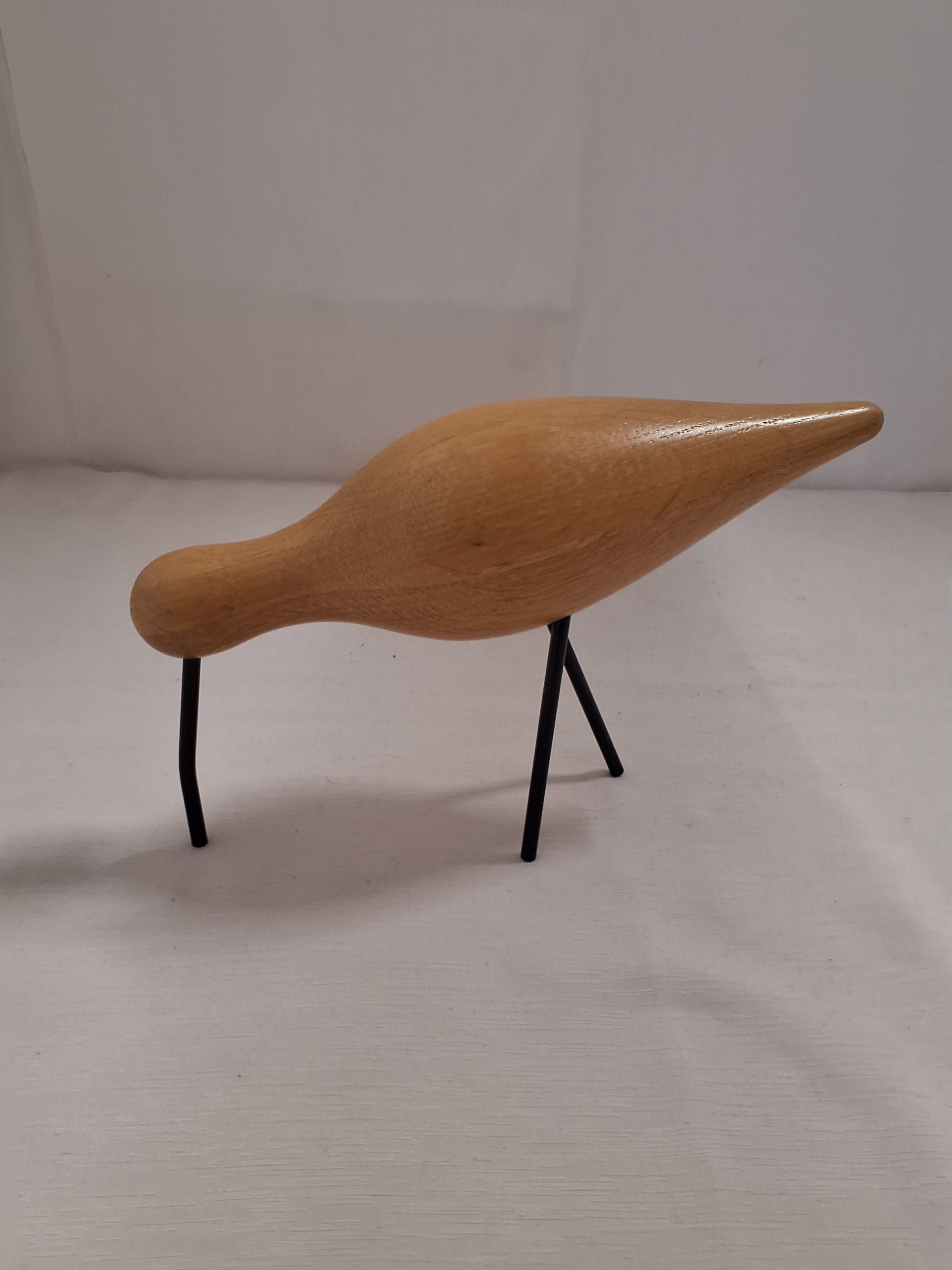 Normann shorebird
