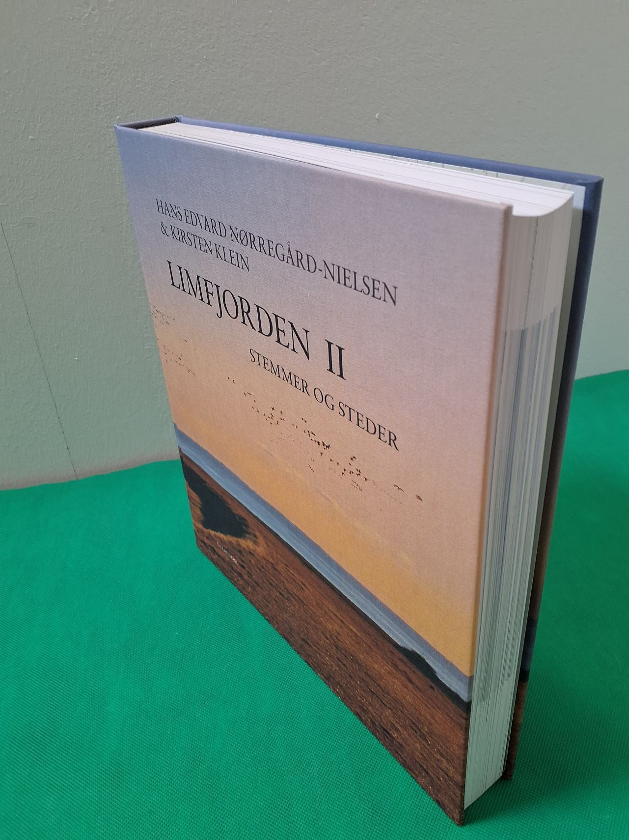 Bog: Limfjorden 2