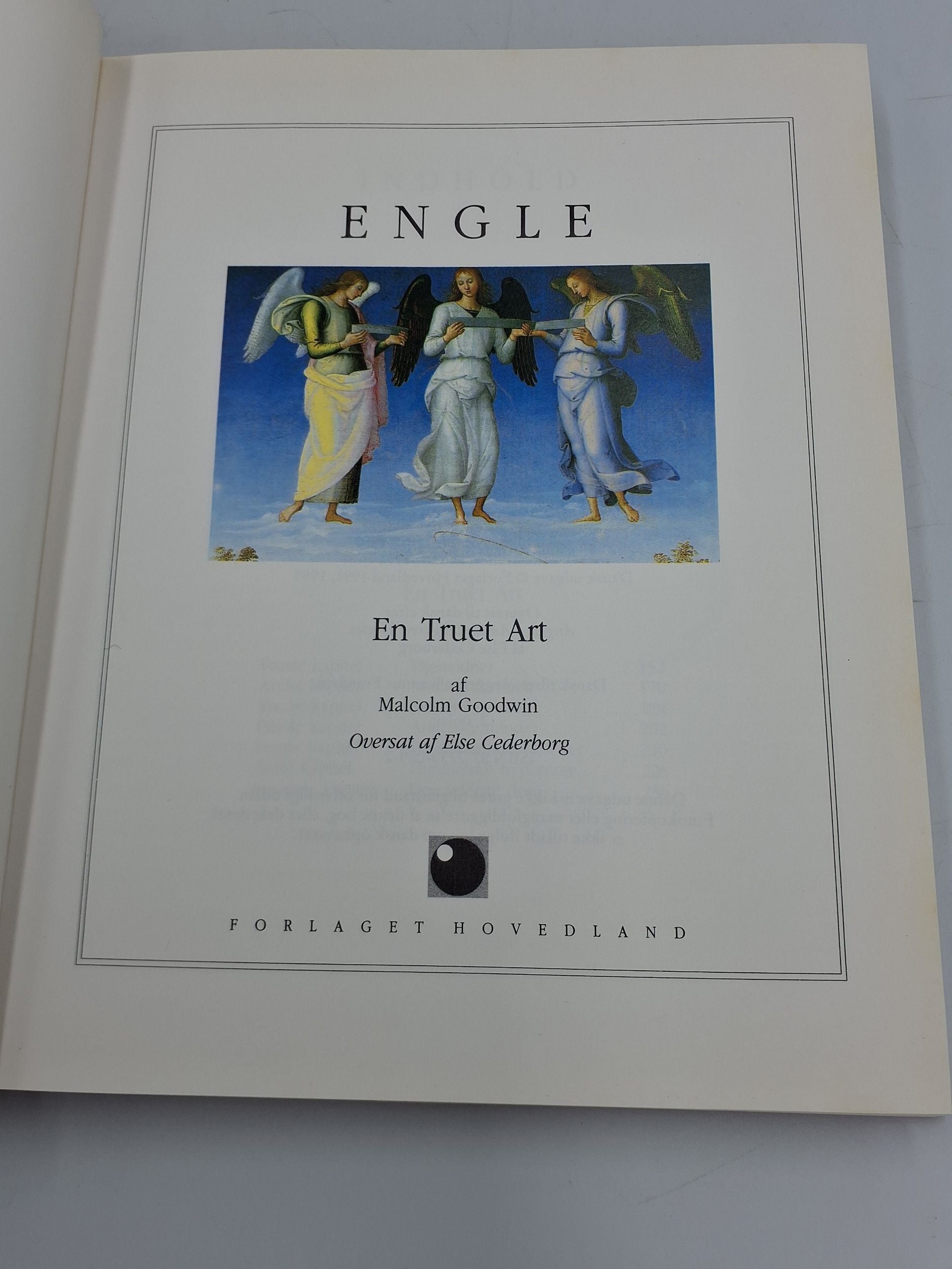 Bog: Engle - en truet art
