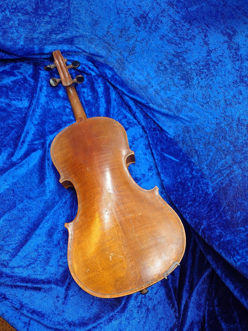 Violin