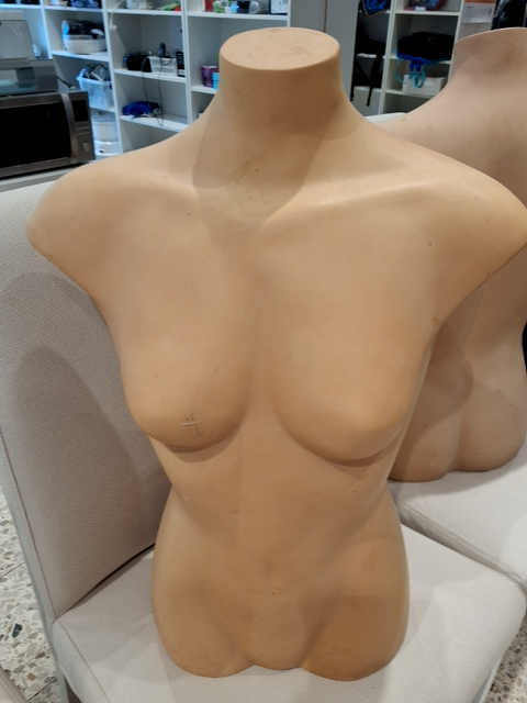 Torso mannequin