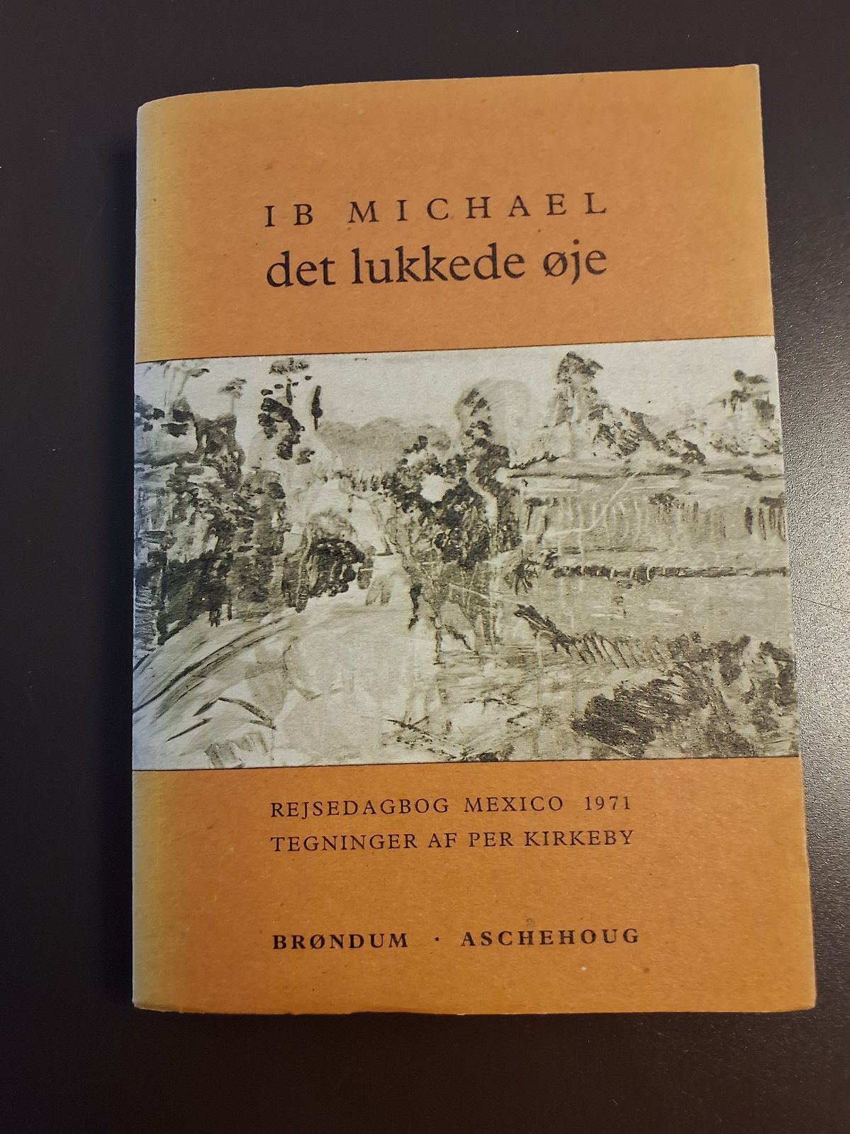 Ib Michael: det lukkede øje. Illustreret af Per Kierkeby