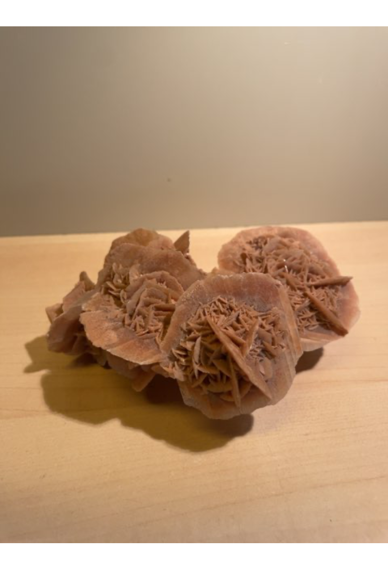 Sandrose