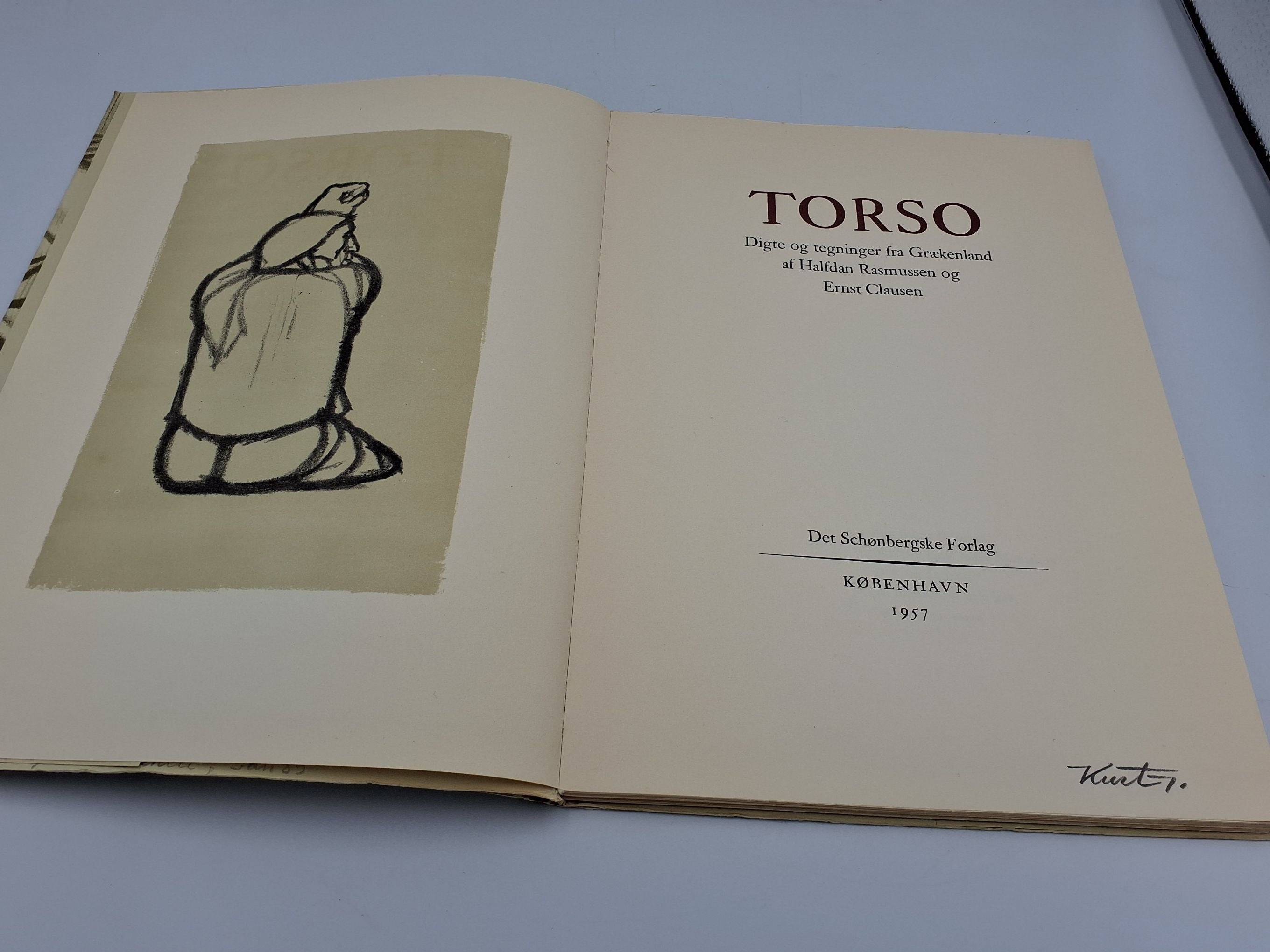 Bog: Torso
