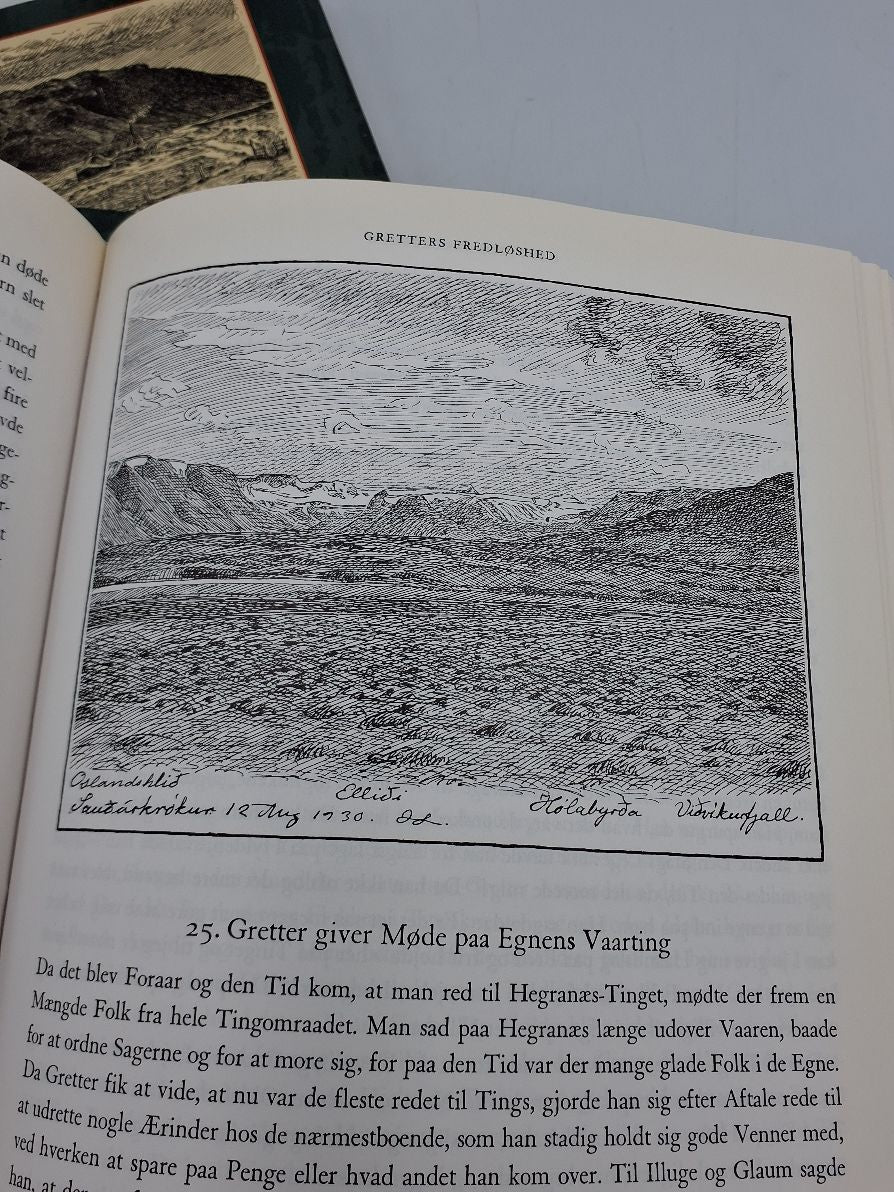 Bog: De islandske sagaer, bd. 1,2 og 3