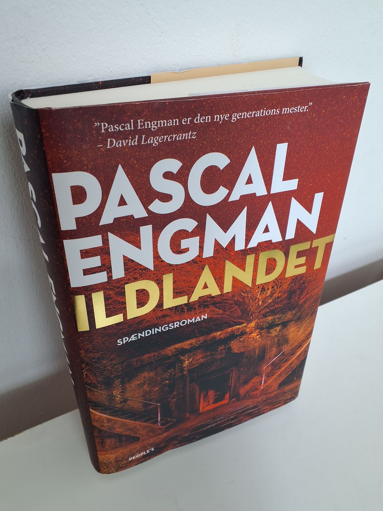 Pascal Engman: Ildlandet