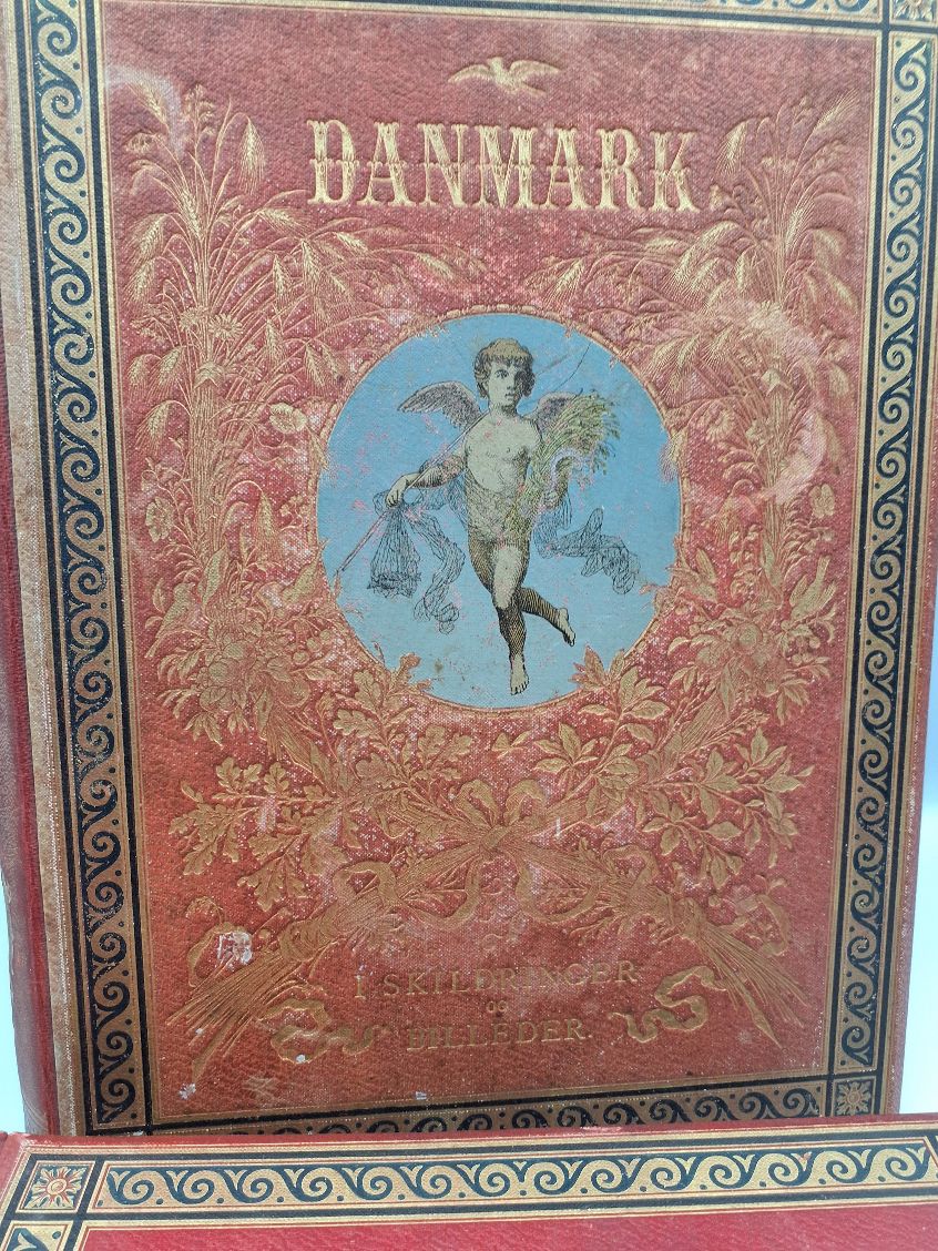 DANMARK I SKILDRING