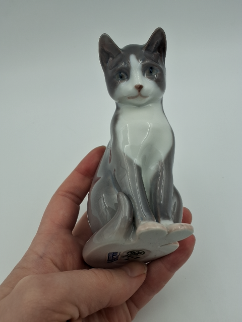 B&G, grå kat