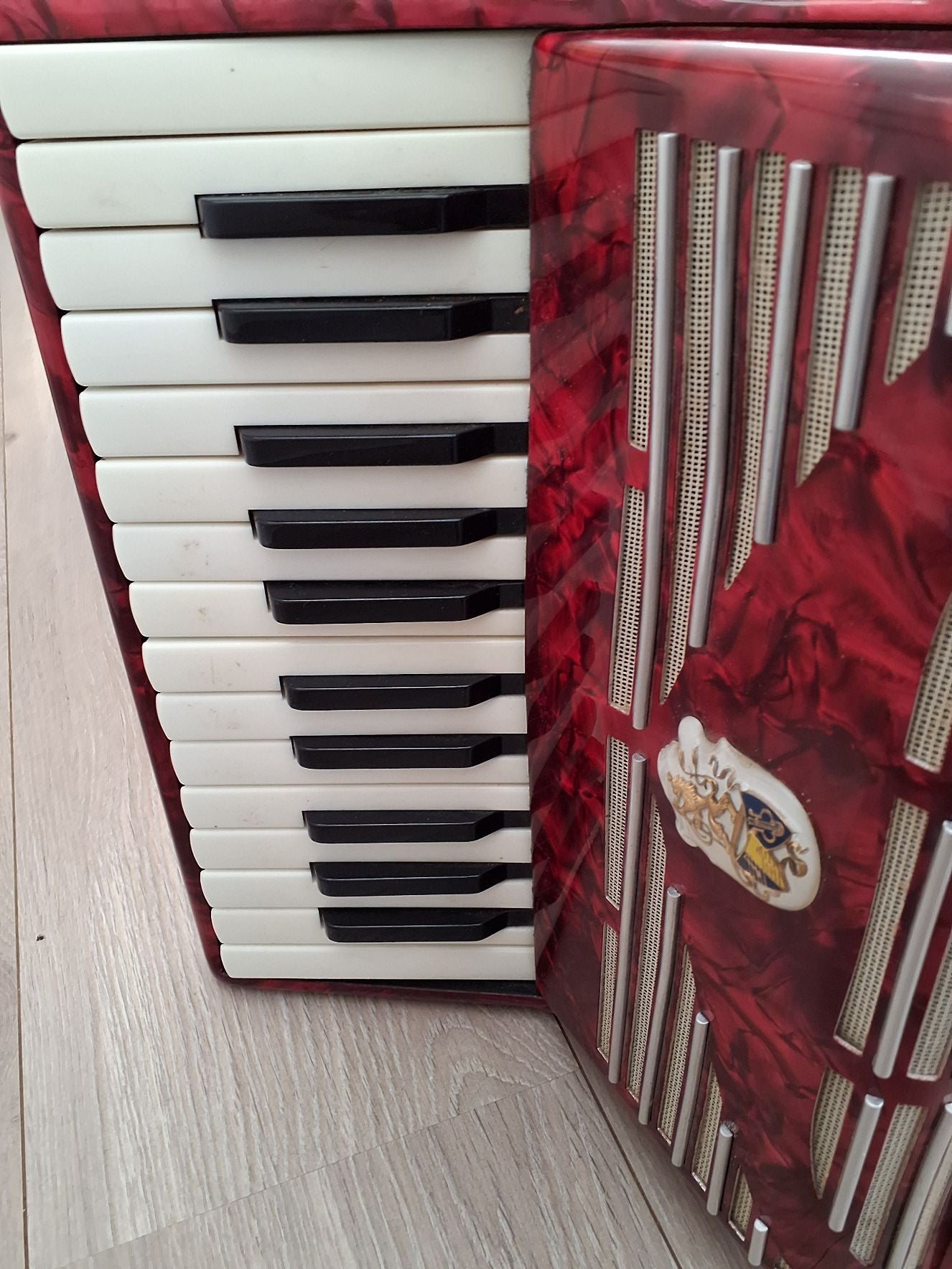 Harmonika junior
