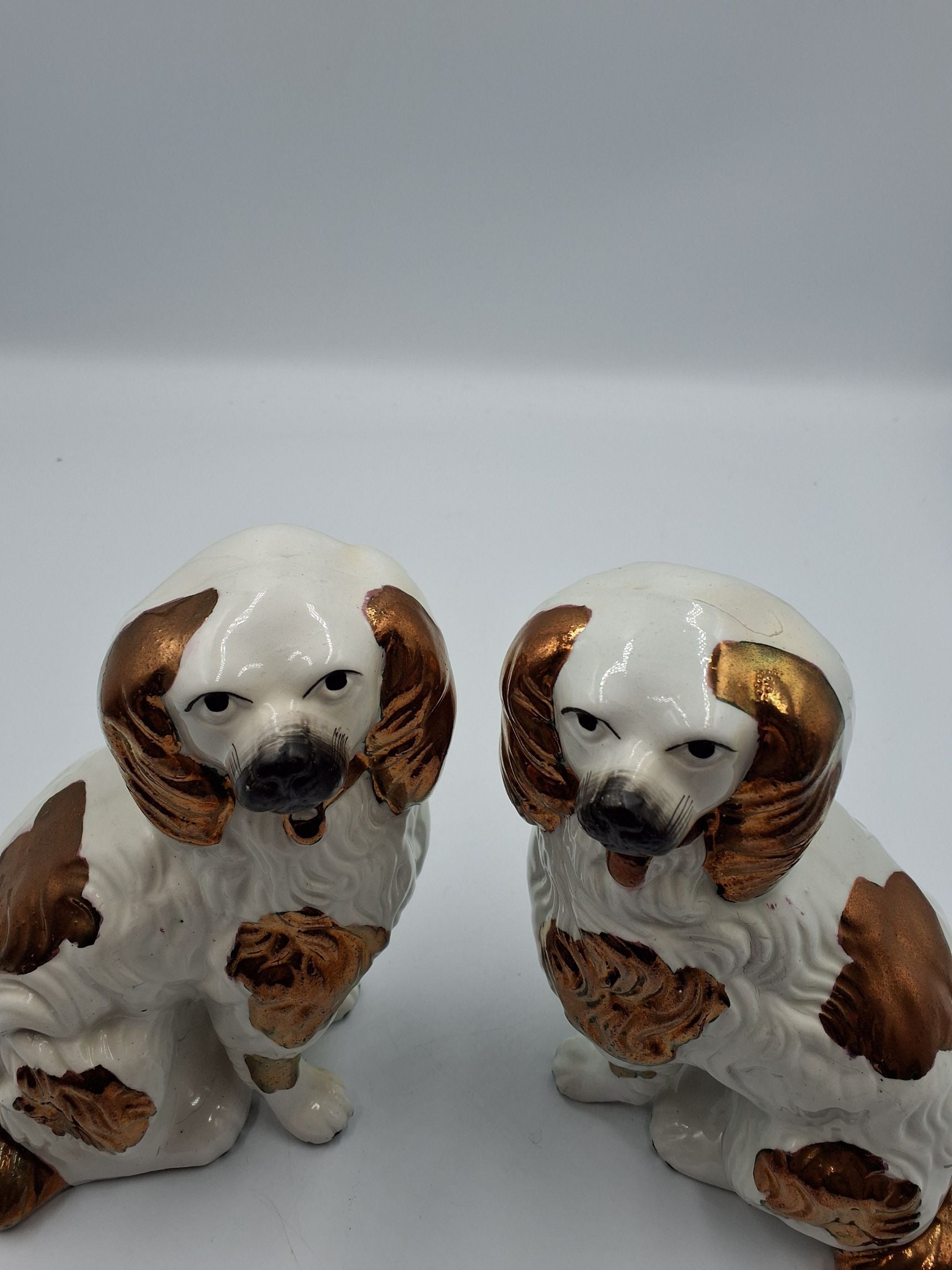 2 Straffordshire hunde