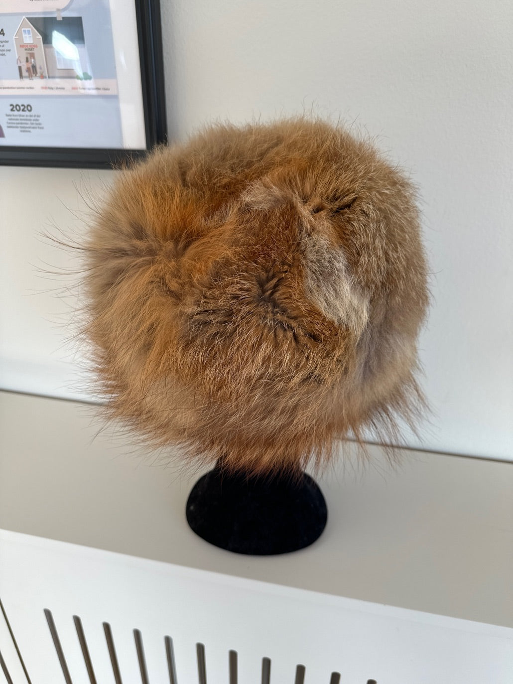 Pelshat, ræv