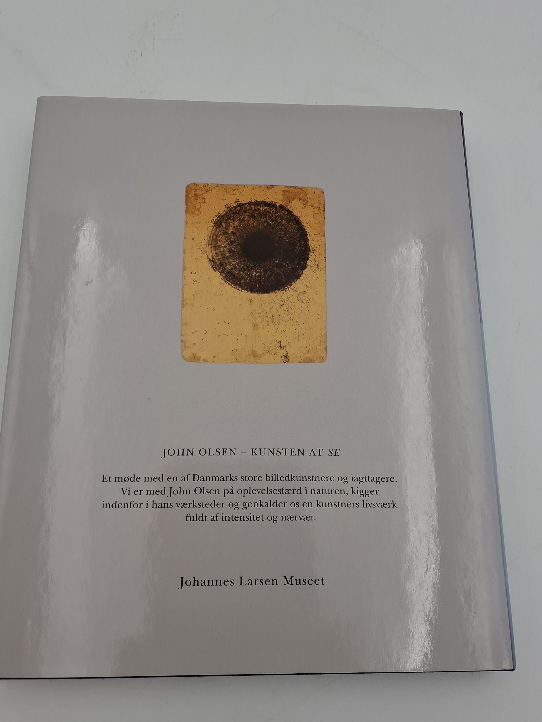 John Olsen-kunsten at se, En biografi, af Erland Pormose