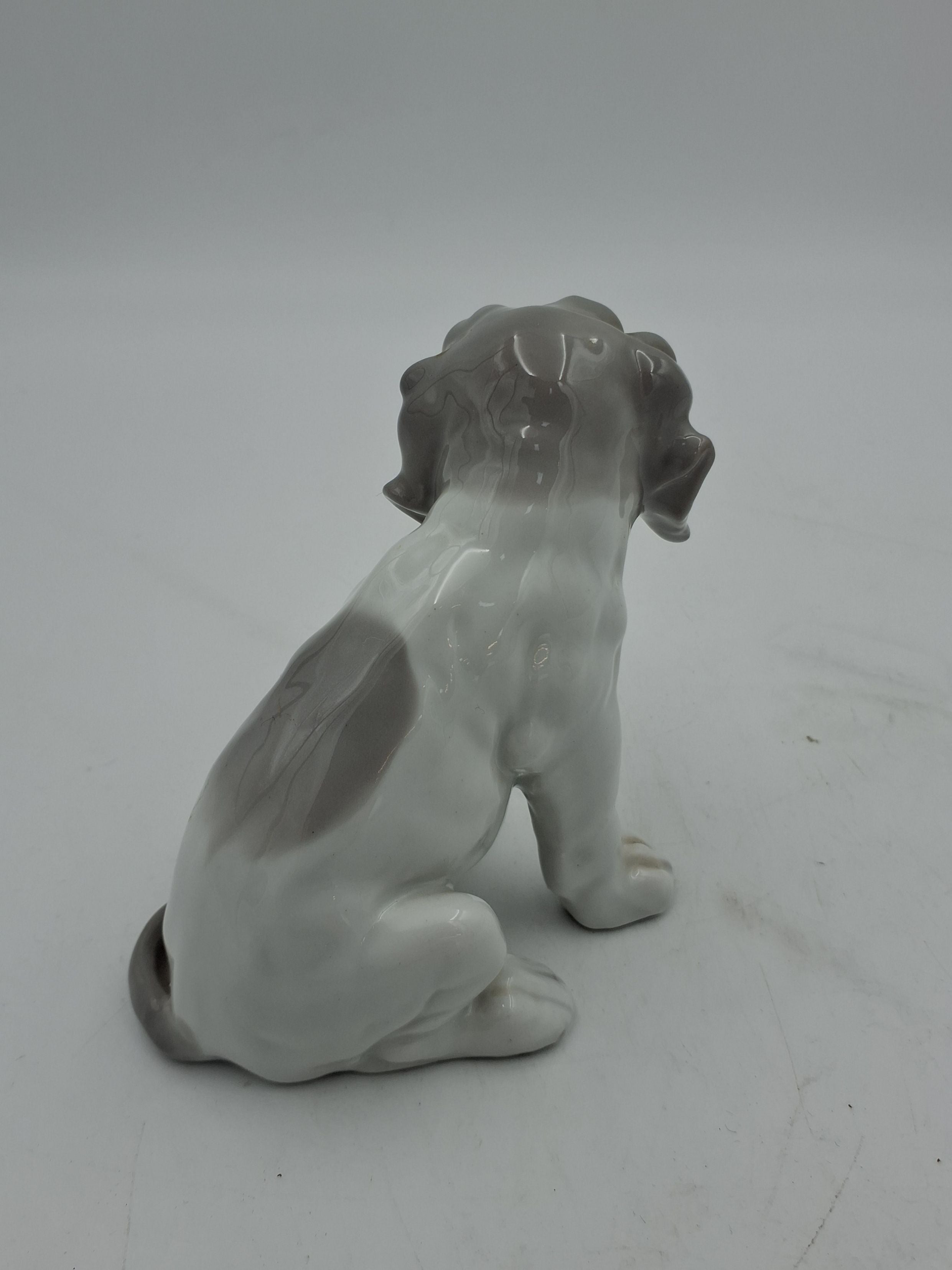 Stor Heubach hund