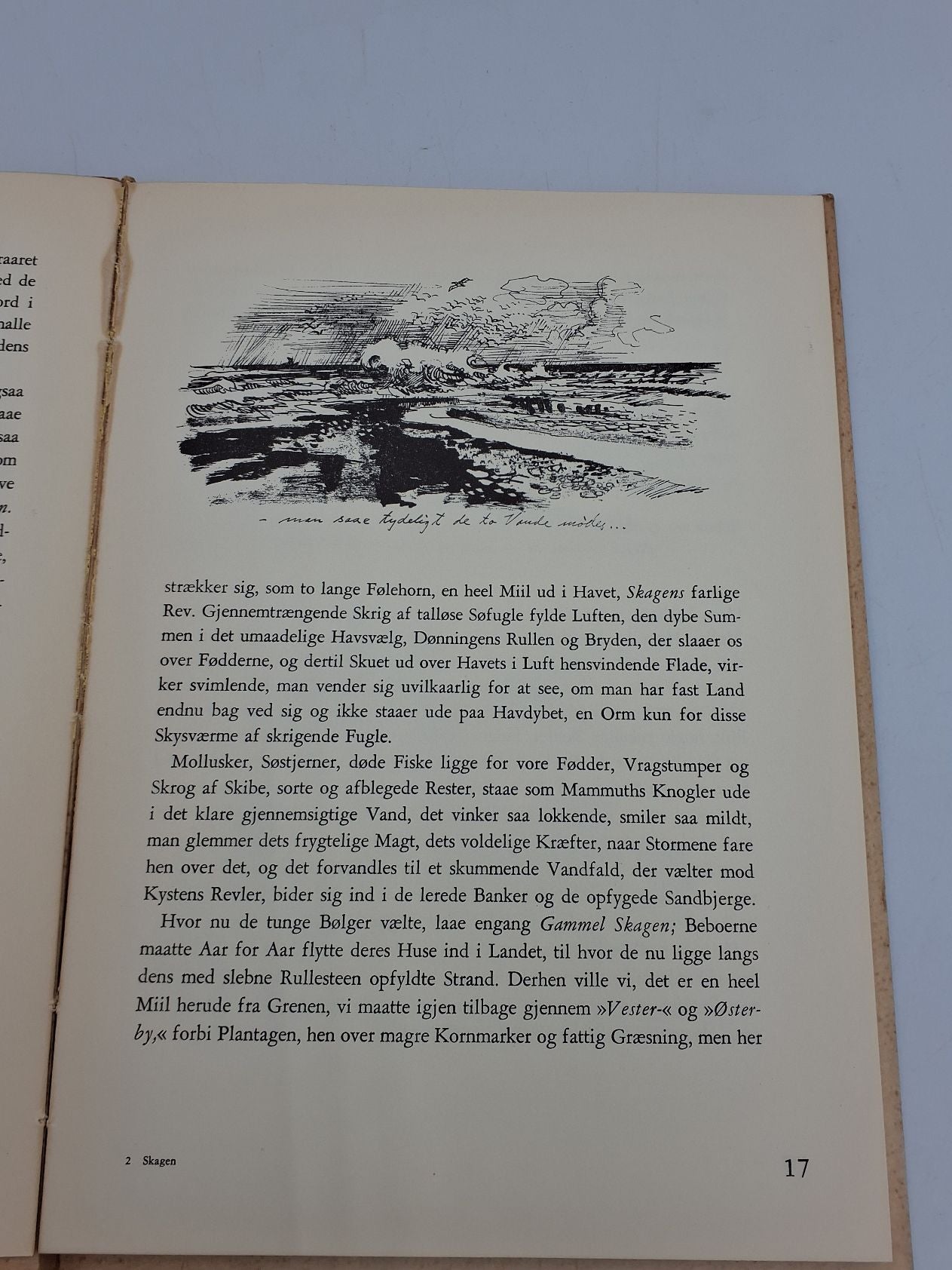 Bog: Skagen og en historie fra Klitterne