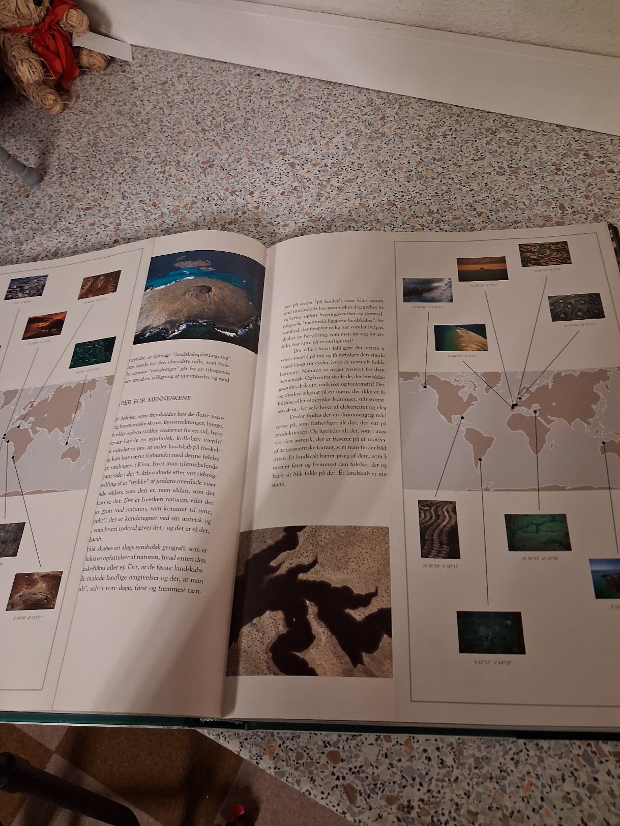 Jorden set fra hommelen