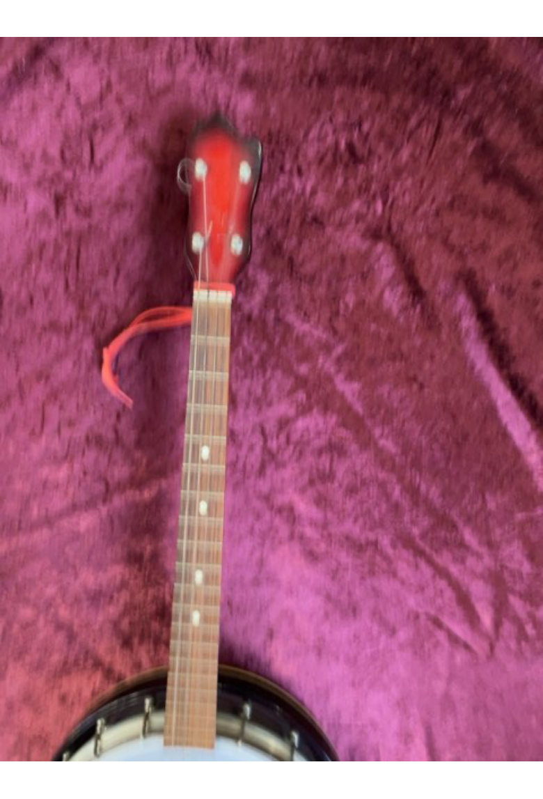 Banjo med 4 strenge