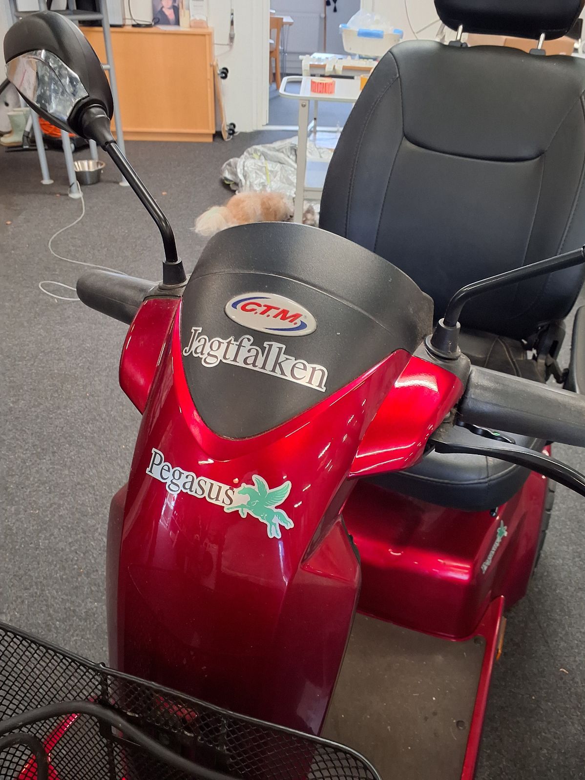 El scooter pegasus